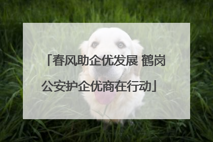 春风助企优发展 鹤岗公安护企优商在行动
